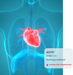 Cardiovascular Health